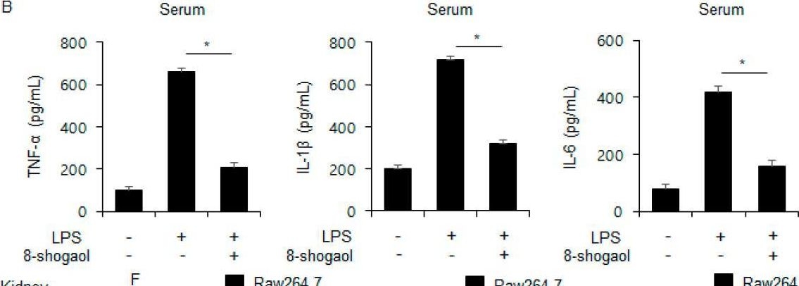 Fig.1.B showing Enzyme-linked immunosorbent assay from the publication: Anti-Inflammatory 8-Shogaol Mediates Apoptosis by Inducing Oxidative Stress and Sensitizes Radioresistance in Gastric Cancer.