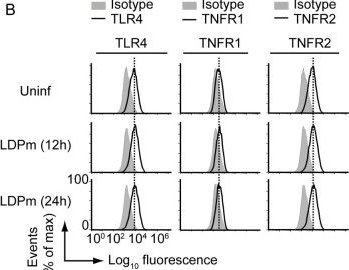 Fig.5.B showing Flow cytometry/Cell sorting in a Mus musculus (House mouse) sample from the publication: Runx proteins mediate protective immunity against Leishmania donovani infection by promoting CD40 expression on dendritic cells.