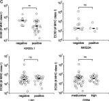 Fig.3.C showing Flow cytometry/Cell sorting from the publication: Human NK cells differ more in their KIR2DL1-dependent thresholds for HLA-Cw6-mediated inhibition than in their maximal killing capacity.