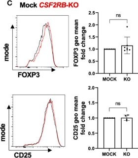 Fig.6.C showing Flow cytometry/Cell sorting in a Homo sapiens (Human) sample from the publication: Dissecting the role of CSF2RB expression in human regulatory T cells.