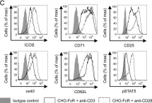 Fig.5.C showing Flow cytometry/Cell sorting from the publication: 1,25(OH)2D3 Promotes the Efficacy of CD28 Costimulation Blockade by Abatacept.