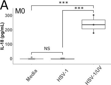 Fig.3.A showing Enzyme-linked immunosorbent assay from the publication: Herpes simplex virus type 1 inflammasome activation in proinflammatory human macrophages is dependent on NLRP3, ASC, and caspase-1.
