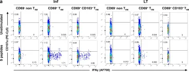 Fig.3.A showing Flow cytometry/Cell sorting in a Homo sapiens (Human) sample from the publication: Limited induction of polyfunctional lung-resident memory T cells against SARS-CoV-2 by mRNA vaccination compared to infection.
