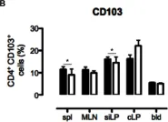 Fig.4.B showing Flow cytometry/Cell sorting in a Mus musculus (House mouse) sample from the publication: The early activation marker CD69 regulates the expression of chemokines and CD4 T cell accumulation in intestine.