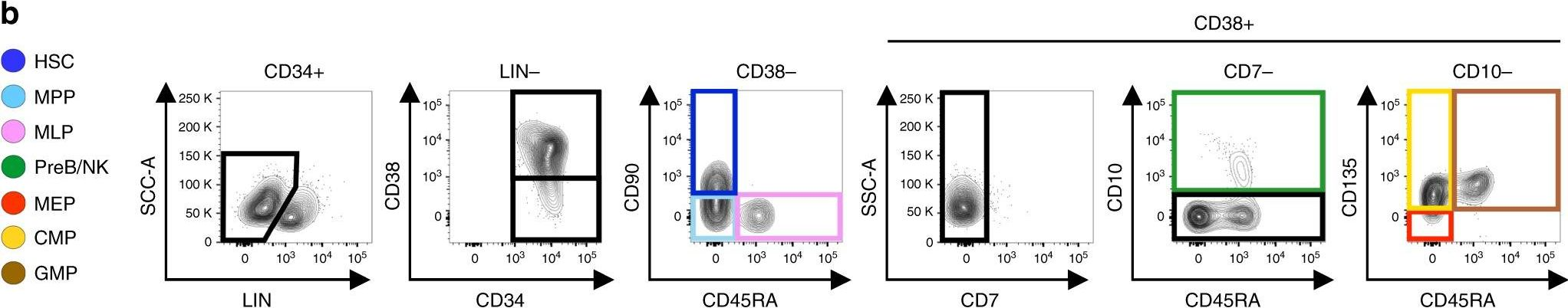 Fig.1.B showing Flow cytometry/Cell sorting in a Homo sapiens (Human) sample from the publication: A comprehensive single cell transcriptional landscape of human hematopoietic progenitors.