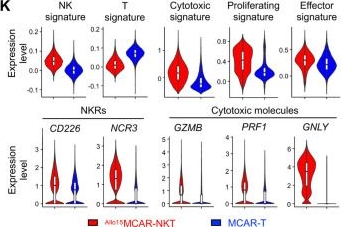 Fig.2.K showing Flow cytometry/Cell sorting in a Homo sapiens (Human) sample from the publication: Targeting triple-negative breast cancer using cord-blood CD34⁺ HSPC-derived mesothelin-specific CAR-NKT cells with potent antitumor activity.