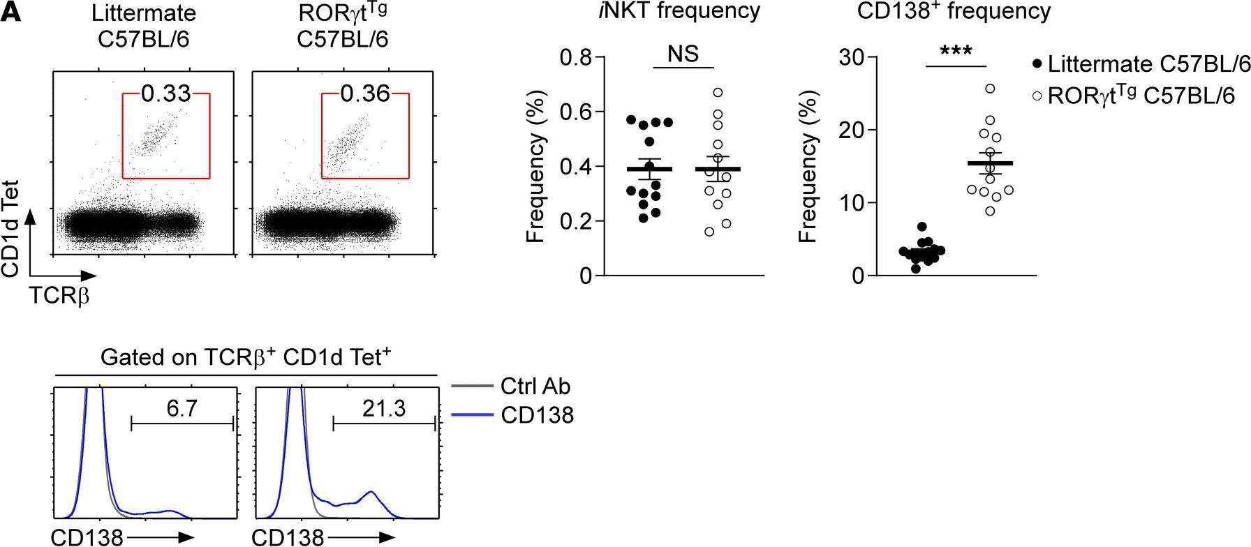 Fig.7.A showing Flow cytometry/Cell sorting from the publication: CD138 expression is a molecular signature but not a developmental requirement for RORγt+ NKT17 cells.