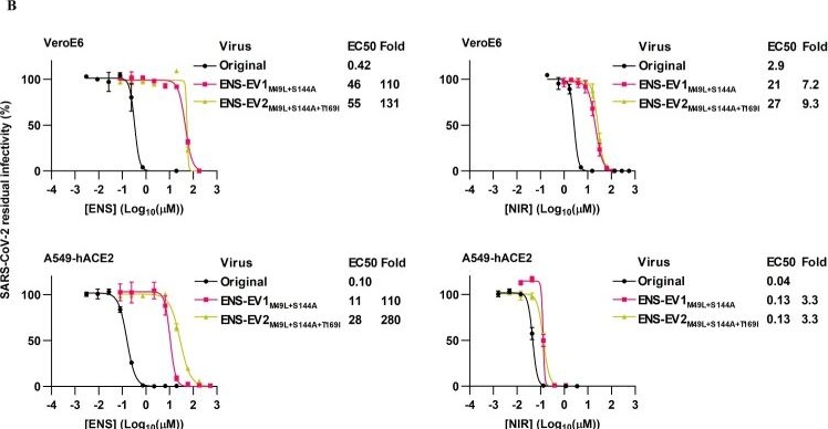 Fig.1.B from the publication: SARS-CoV-2 Mpro inhibitor ensitrelvir: asymmetrical cross-resistance with nirmatrelvir and emerging resistance hotspots.