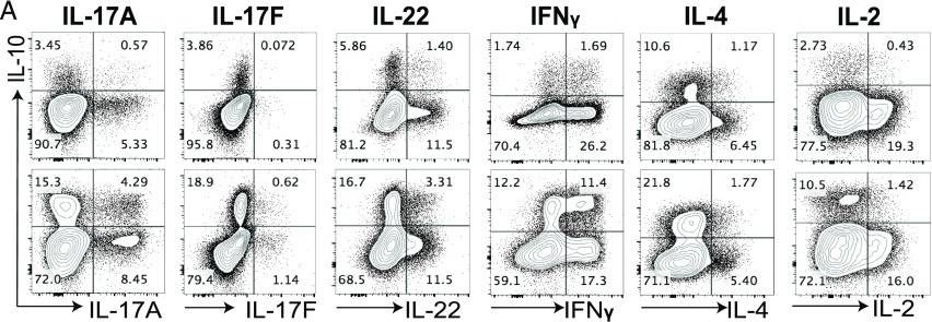 Fig.3.A showing Flow cytometry/Cell sorting in a Homo sapiens (Human) sample from the publication: High-Dose IL-2 Skews a Glucocorticoid-Driven IL-17+IL-10+ Memory CD4+ T Cell Response towards a Single IL-10-Producing Phenotype.