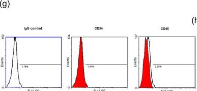 Fig.1.G showing Flow cytometry/Cell sorting in a Mus musculus (House mouse) sample from the publication: Tumour necrosis factor α regulates the miR-27a-3p-Sfrp1 axis in a mouse model of osteoporosis.