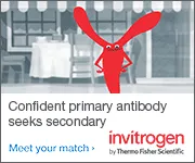 Invitrogen Antibodies