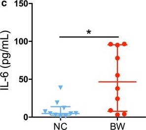Fig.4.C showing Enzyme-linked immunosorbent assay in a Mus musculus (House mouse) sample from the publication: A human stool-derived Bilophila wadsworthia strain caused systemic inflammation in specific-pathogen-free mice.