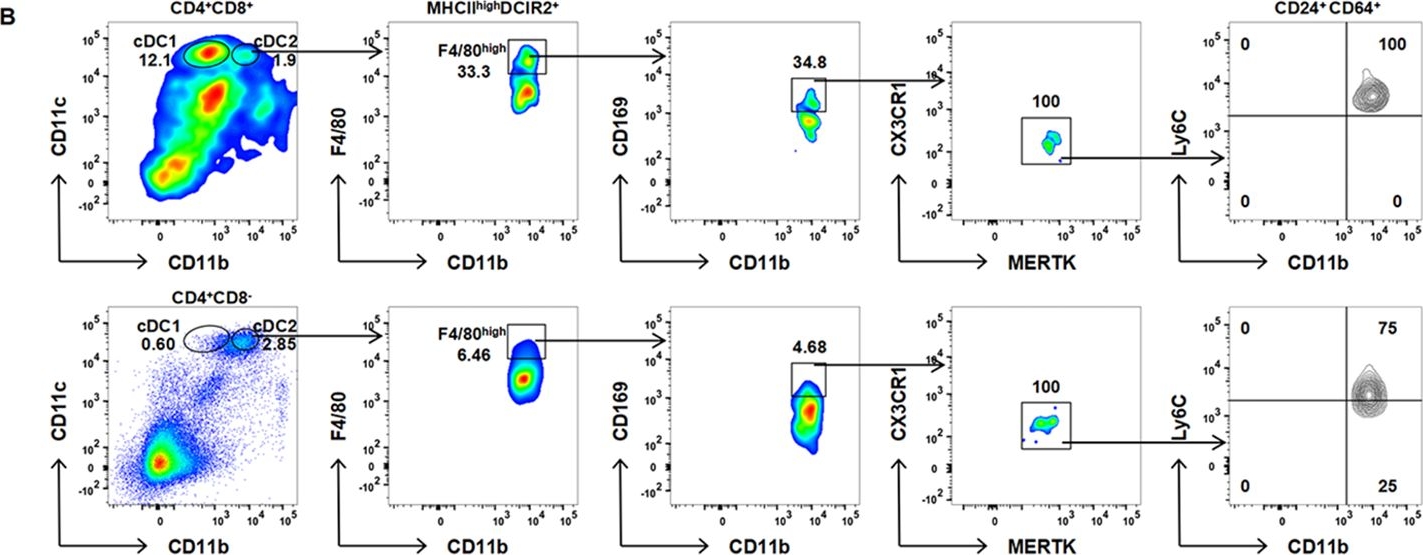 Fig.3.S showing Flow cytometry/Cell sorting in a Mus musculus (House mouse) sample from the publication: High-dimensional phenotyping reveals novel macrophage-like and hybrid subsets within murine splenic conventional dendritic cells.