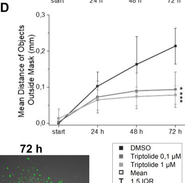 Fig.7.D from the publication: Cell Invasion Analysis of Tumor Spheroids Using 2D Image Data.