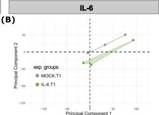 Fig.2.B from the publication: Long-term cytokine exposure remodels the methylome and transcriptome of recessive dystrophic epidermolysis bullosa keratinocytes - a bioinformatic analysis.