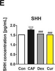 Fig.3.E showing Enzyme-linked immunosorbent assay from the publication: Curcumin Disrupts a Positive Feedback Loop between ADMSCs and Cancer Cells in the Breast Tumor Microenvironment via the CXCL12/CXCR4 Axis.