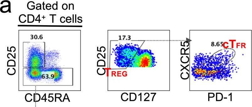 Fig.5.A showing Flow cytometry/Cell sorting from the publication: SARS-CoV-2-specific CD4+ T cells are associated with long-term persistence of neutralizing antibodies.