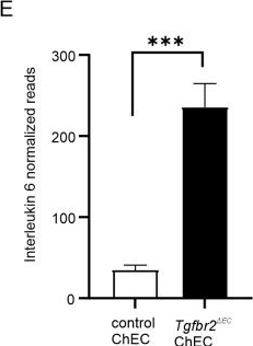 Fig.3.E from the publication: Endothelial TGFβ signaling modulates choroidal neovascularization severity via myeloid-endothelial cell interaction.