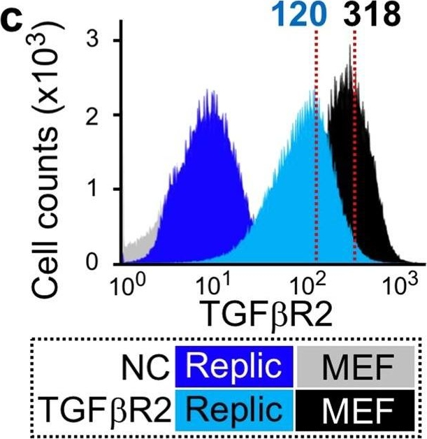 Fig.5.C showing Flow cytometry/Cell sorting in a Mus musculus (House mouse) sample from the publication: An immortalized cell line derived from renal erythropoietin-producing (REP) cells demonstrates their potential to transform into myofibroblasts.