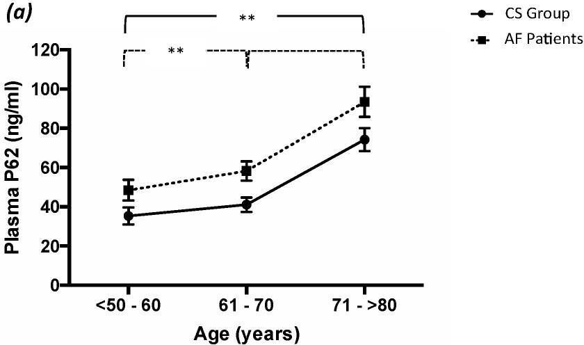 Fig.2.A showing Enzyme-linked immunosorbent assay from the publication: Aging-Related Decline of Autophagy in Patients with Atrial Fibrillation-A Post Hoc Analysis of the ATHERO-AF Study.