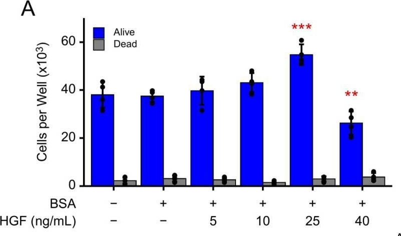 Fig.2.A showing Enzyme-linked immunosorbent assay from the publication: Stathmin Serine 16 Phosphorylation Is a Key Regulator of Cell Cycle Progression Without Activating Migration and Invasion In Vitro.