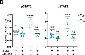 Fig.4.D from the publication: Interleukin-10 at the crossroads of immunity in TLR7-induced lupus.