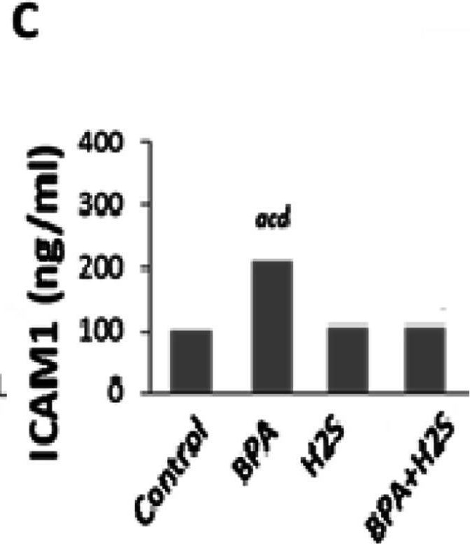 Fig.7.C showing Enzyme-linked immunosorbent assay from the publication: Hydrogen sulfide attenuates lung injury instigated by Bisphenol-A via suppressing inflammation and oxidative stress.