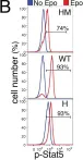 Fig.3.B showing Flow cytometry/Cell sorting in a Mus musculus (House mouse) sample from the publication: Stat5 signaling specifies basal versus stress erythropoietic responses through distinct binary and graded dynamic modalities.