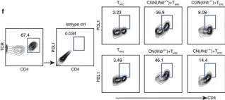 Fig.3.F showing Flow cytometry/Cell sorting in a Mus musculus (House mouse) sample from the publication: Neuronal IFN-beta-induced PI3K/Akt-FoxA1 signalling is essential for generation of FoxA1+Treg cells.
