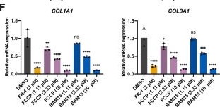 Fig.6.F from the publication: Transcriptome-guided development of a fibrosis-reversal compound reduces skin scarring and allows regeneration via mitochondrial uncoupling.
