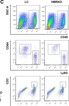 Fig.2.C showing Flow cytometry/Cell sorting in a Mus musculus (House mouse) sample from the publication: An IL-6/STAT3/MR/FGF21 axis mediates heart-liver cross-talk after myocardial infarction.