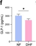Fig.5.F showing Enzyme-linked immunosorbent assay from the publication: Gut microbiota associated with appetite suppression in high-temperature and high-humidity environments.