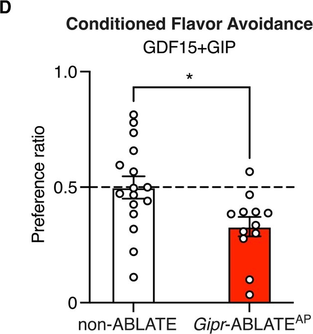 Fig.4.D from the publication: A brainstem circuit for nausea suppression.