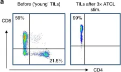 Fig.1.A showing Flow cytometry/Cell sorting from the publication: Neoepitope targets of tumour-infiltrating lymphocytes from patients with pancreatic cancer.