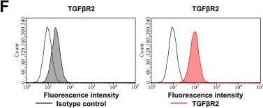 Fig.1.F showing Flow cytometry/Cell sorting from the publication: Epigenetic-metabolic coupling by SOX3/WDR5-SIRT5 signaling mediates the therapeutic effects of TGFβ-targeted exosomal nanoparticles in osteoarthritis.