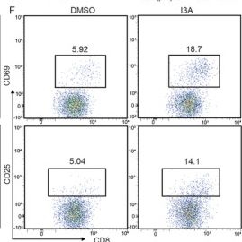 Fig.1.F showing Flow cytometry/Cell sorting in a Mus musculus (House mouse) sample from the publication: Tryptophan Metabolite Indole-3-Aldehyde Induces AhR and c-MYC Degradation to Promote Tumor Immunogenicity.