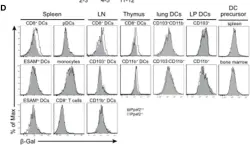 Fig.2.D showing Flow cytometry/Cell sorting in a Mus musculus (House mouse) sample from the publication: Expression of the Phosphatase Ppef2 Controls Survival and Function of CD8+ Dendritic Cells.