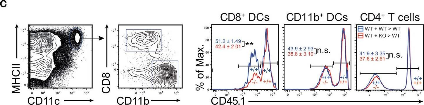 Fig.4.C showing Flow cytometry/Cell sorting in a Mus musculus (House mouse) sample from the publication: Expression of the Phosphatase Ppef2 Controls Survival and Function of CD8+ Dendritic Cells.