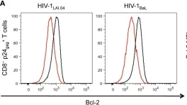 Fig.6.A showing Flow cytometry/Cell sorting from the publication: Interleukin-7 facilitates HIV-1 transmission to cervico-vaginal tissue ex vivo.