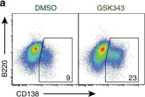Fig.7.A showing Flow cytometry/Cell sorting from the publication: Plasma cell differentiation is controlled by multiple cell division-coupled epigenetic programs.