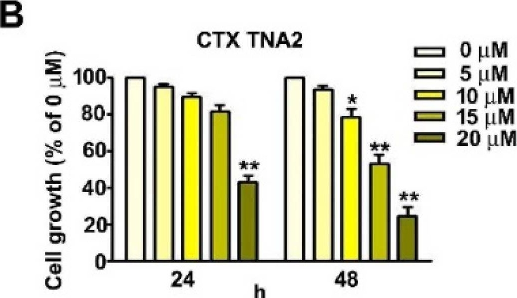 Fig.1.B from the publication: Blockage of Autophagy Increases Timosaponin AIII-Induced Apoptosis of Glioma Cells In Vitro and In Vivo.