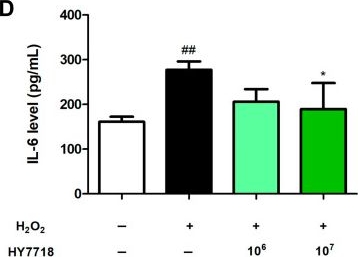 Fig.2.D showing Enzyme-linked immunosorbent assay from the publication: Lactiplantibacillus plantarum HY7718 Attenuates Renal Injury in an Adenine-Induced Chronic Kidney Disease Mouse Model via Inhibition of Inflammation and Apoptosis.