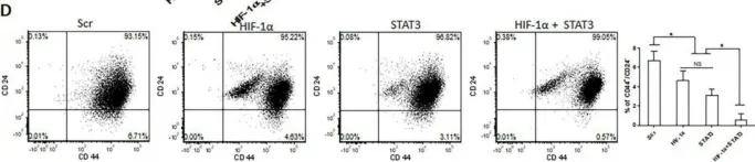Fig.5.D showing Flow cytometry/Cell sorting from the publication: STAT3 but Not HIF-1α Is Important in Mediating Hypoxia-Induced Chemoresistance in MDA-MB-231, a Triple Negative Breast Cancer Cell Line.