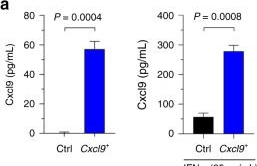 Fig.1.A showing Enzyme-linked immunosorbent assay from the publication: CXCL9 inhibits tumour growth and drives anti-PD-L1 therapy in ovarian cancer.