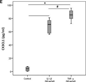 Fig.12.E showing Enzyme-linked immunosorbent assay from the publication: Evaluation of Proteoforms of the Transmembrane Chemokines CXCL16 and CX3CL1, Their Receptors, and Their Processing Metalloproteinases ADAM10 and ADAM17 in Proliferative Diabetic Retinopathy.