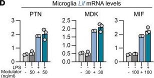 Fig.3.D from the publication: Intranasal delivery of a small-molecule ErbB inhibitor promotes recovery from acute and late-stage CNS inflammation.