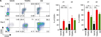 Fig.2.A showing Flow cytometry/Cell sorting from the publication: IL-15 Harnesses Pro-inflammatory Function of TEMRA CD8 in Kidney-Transplant Recipients.