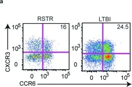 Fig.9.A showing Flow cytometry/Cell sorting from the publication: Specific CD4+ T cell phenotypes associate with bacterial control in people who 'resist' infection with Mycobacterium tuberculosis.