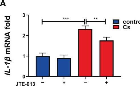 Fig.7.A from the publication: Clonorchis sinensis infection induces hepatobiliary injury via disturbing sphingolipid metabolism and activating sphingosine 1-phosphate receptor 2.