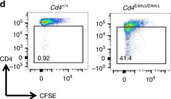 Fig.1.D showing Flow cytometry/Cell sorting from the publication: Stage-specific epigenetic regulation of CD4 expression by coordinated enhancer elements during T cell development.